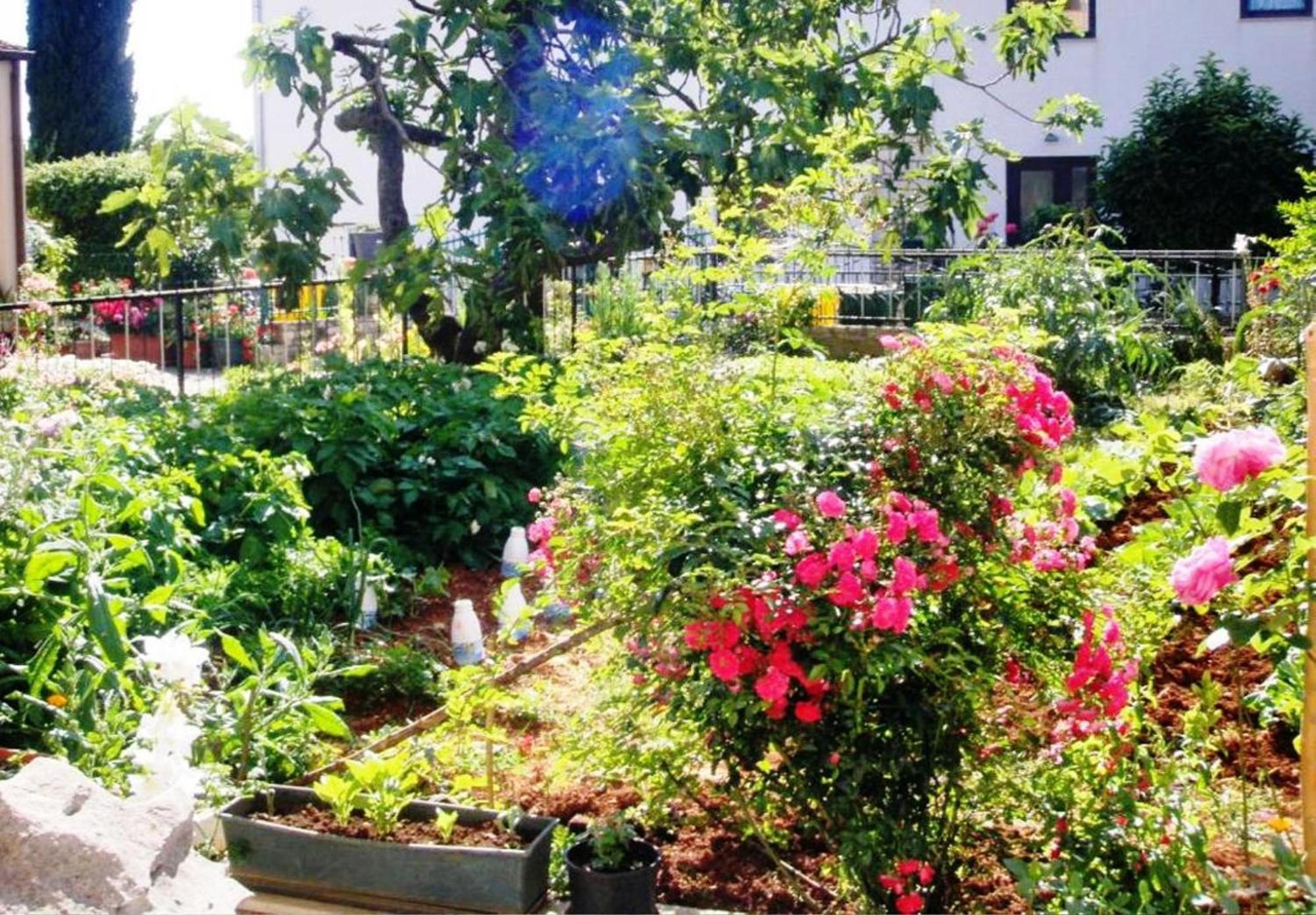 Renata Mare Apartments 로비니 외부 사진
